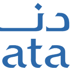 شركة اتحاد النقل الجوي الوطني لدبي (دناتا)