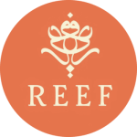 شركة ريف القابضة